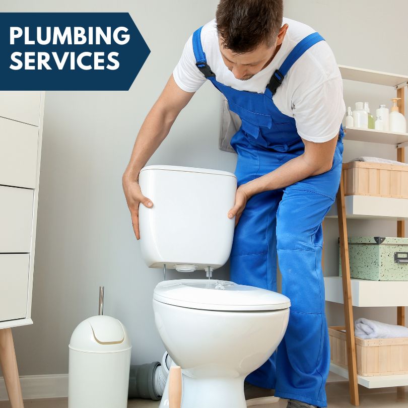 Plumbing Company in Orient, IL